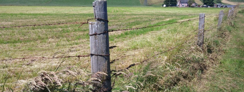 Farm Insurance St. Louis, MO