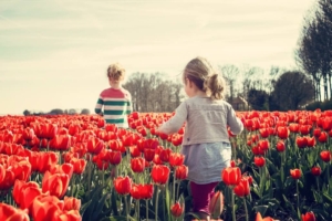Spring Activities to Consider in St. Louis, Missouri